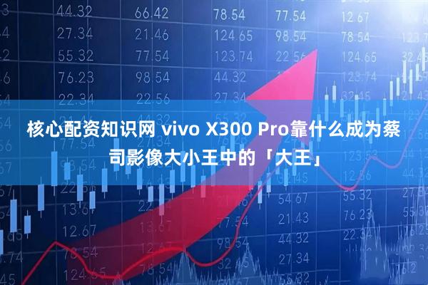 核心配资知识网 vivo X300 Pro靠什么成为蔡司影像大小王中的「大王」
